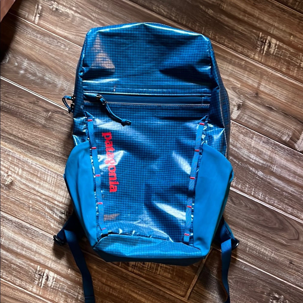 Patagonia Blue Technical Backpack with Weather-Resistant Design